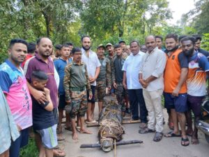 वेत्ये गावातील १२ फुटी मगर पकडण्यास वनविभागाला यश.<br><br> वनविभाग रेस्क्यू टीमची कामगिरी फतेह.