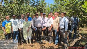 काजू आणि आंबा&nbsp; पिकांच्या पंचनाम्यास गती.