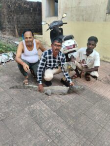 सावंतवाडी रेल्वे स्टेशन जवळ चार फुटाची मगर.