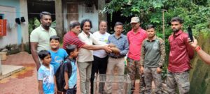 दुर्मिळ जातीच्या प्रजातीचे प्राण वाचल्याबद्दल सातार्डा गावात ग्रामस्थांमध्ये समाधान.