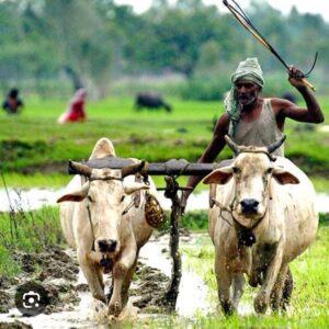 कृषी खात्याचे पंख छाटले -शेतकऱ्यांना&nbsp; अपंग केले . . . .श्री विलास सावंत . . . .