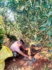 मातोश्रींच्या स्मृती जपत&nbsp; झाडांच्या मुळाशी अर्पण केल्या अस्थी…<br><br> राज्य आदर्श शिक्षक जे.डी.पाटील यांचा भावस्पर्शी उपक्रम.